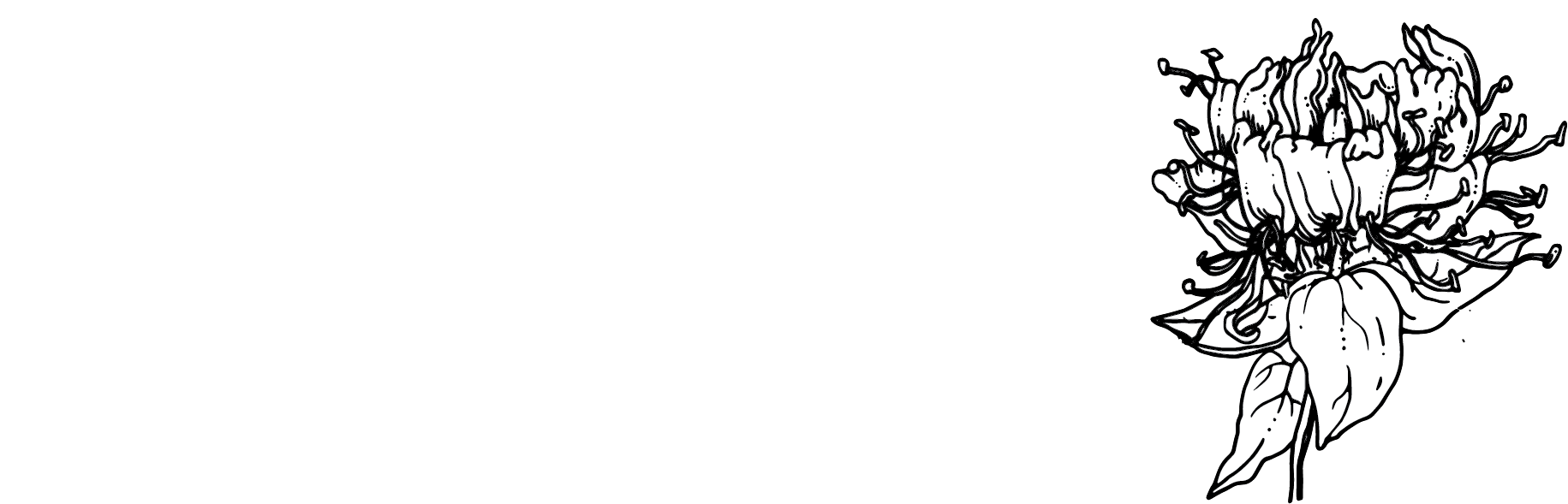 Honeysuckle Style